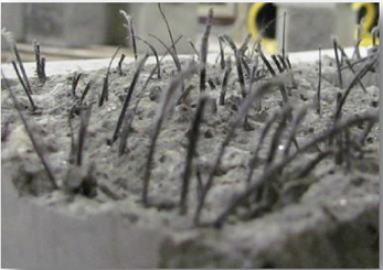 เส้นใยสังเคราะห์ขนาดใหญ่ UCR